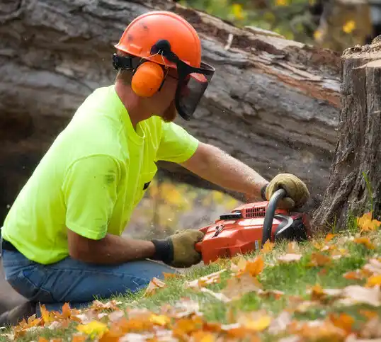 tree services Vaiden